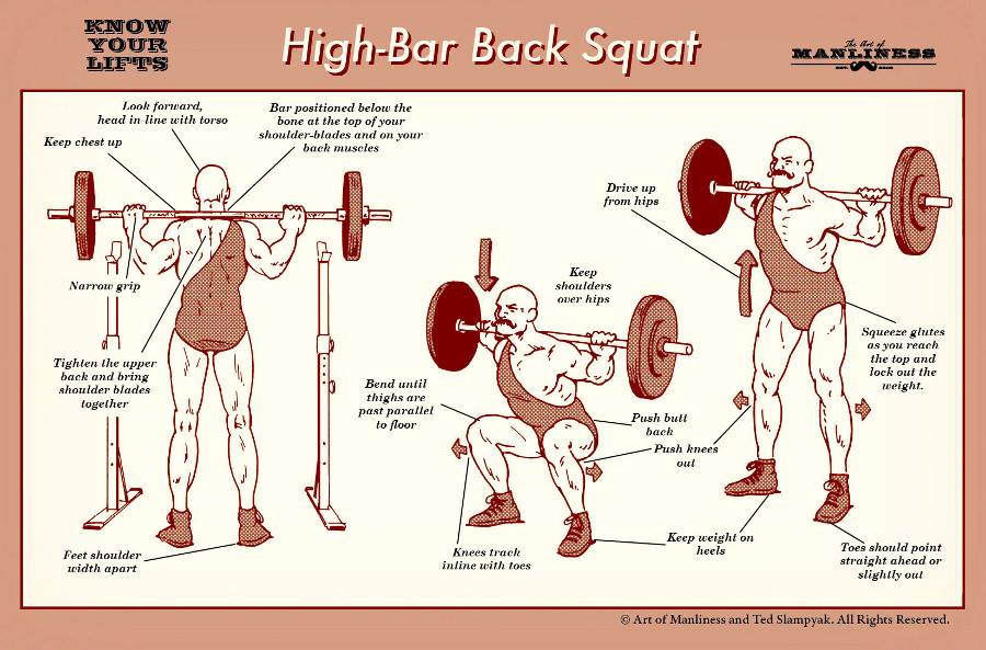 BIOMECHANICS SQUAT BIOMECHANICS SQUAT