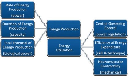 components-of-conditioning