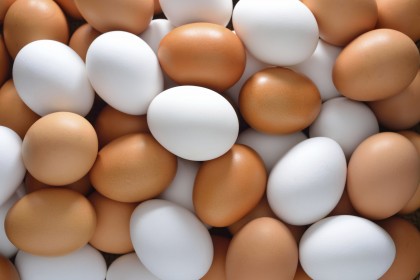 eggs-diet