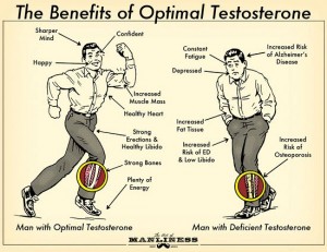 testosteroni-3