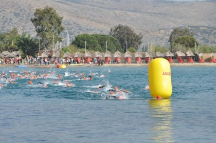 transitionsports-swim